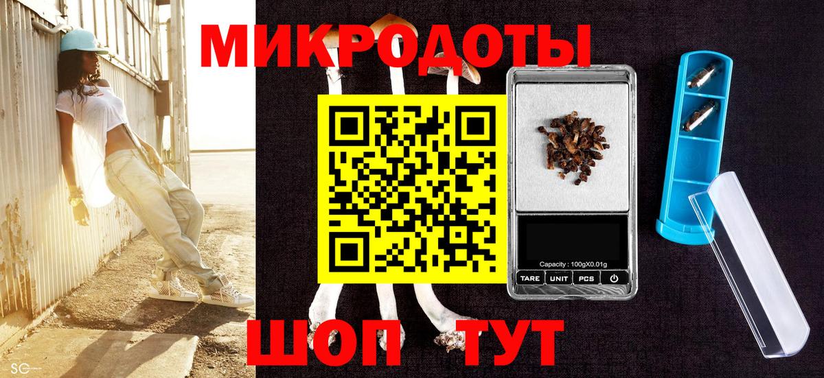 Галлюциногенные грибы Psilocybine cubensis Вязьма